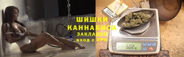 дживик Верхний Тагил