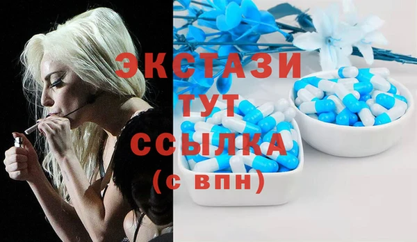 дживик Верхний Тагил