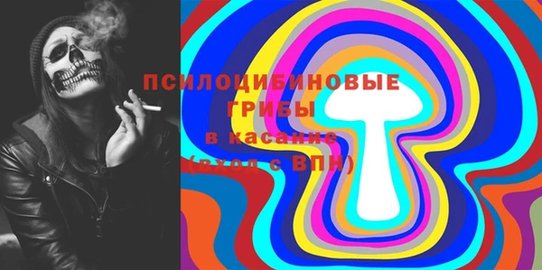 дживик Верхний Тагил