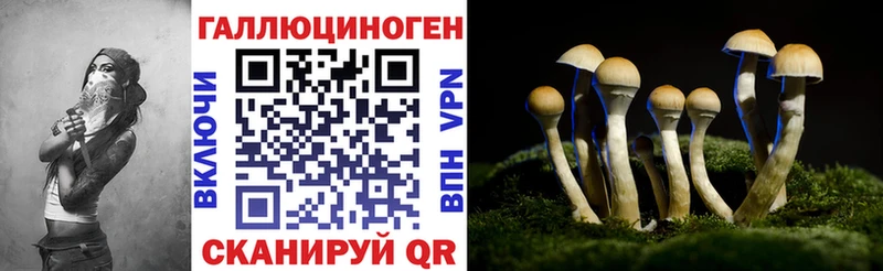 Купить закладки  Себеж  Псилоцибиновые грибы мицелий 